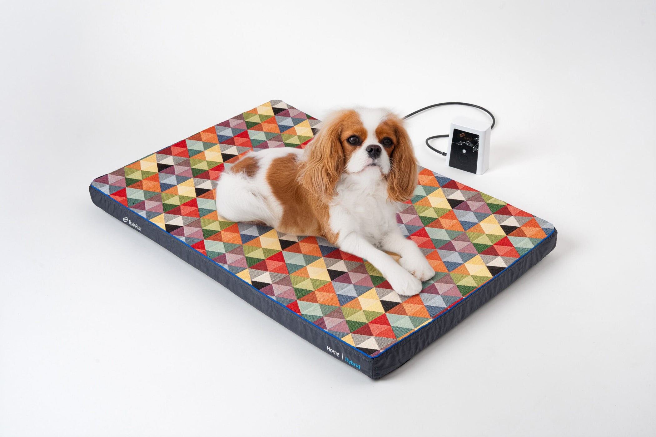 Effortless Healing: How RollnRest Starts Therapy Automatically