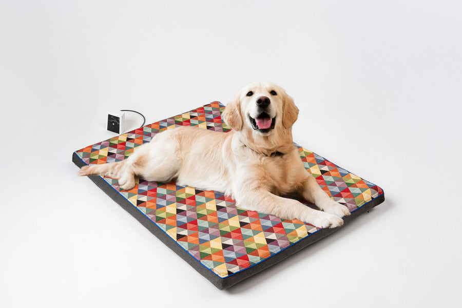 Introducing RollnRest: The First Orthopedic PEMF Bed for Better Healing Rest