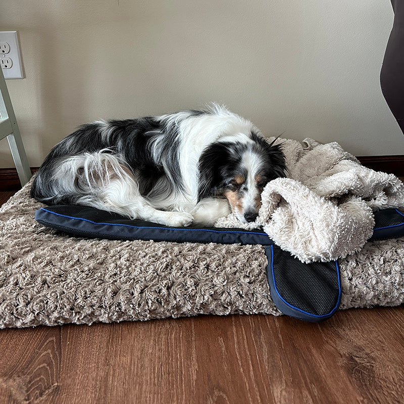 Best Times for Optimal Results: When Should You Use a PEMF Pad?