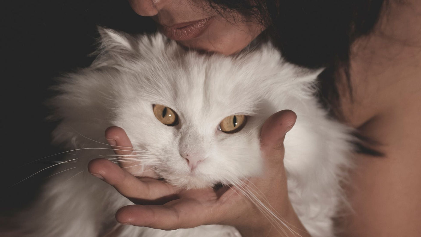 How Animals Show Love: Hormones, Needs, and Surprising Facts