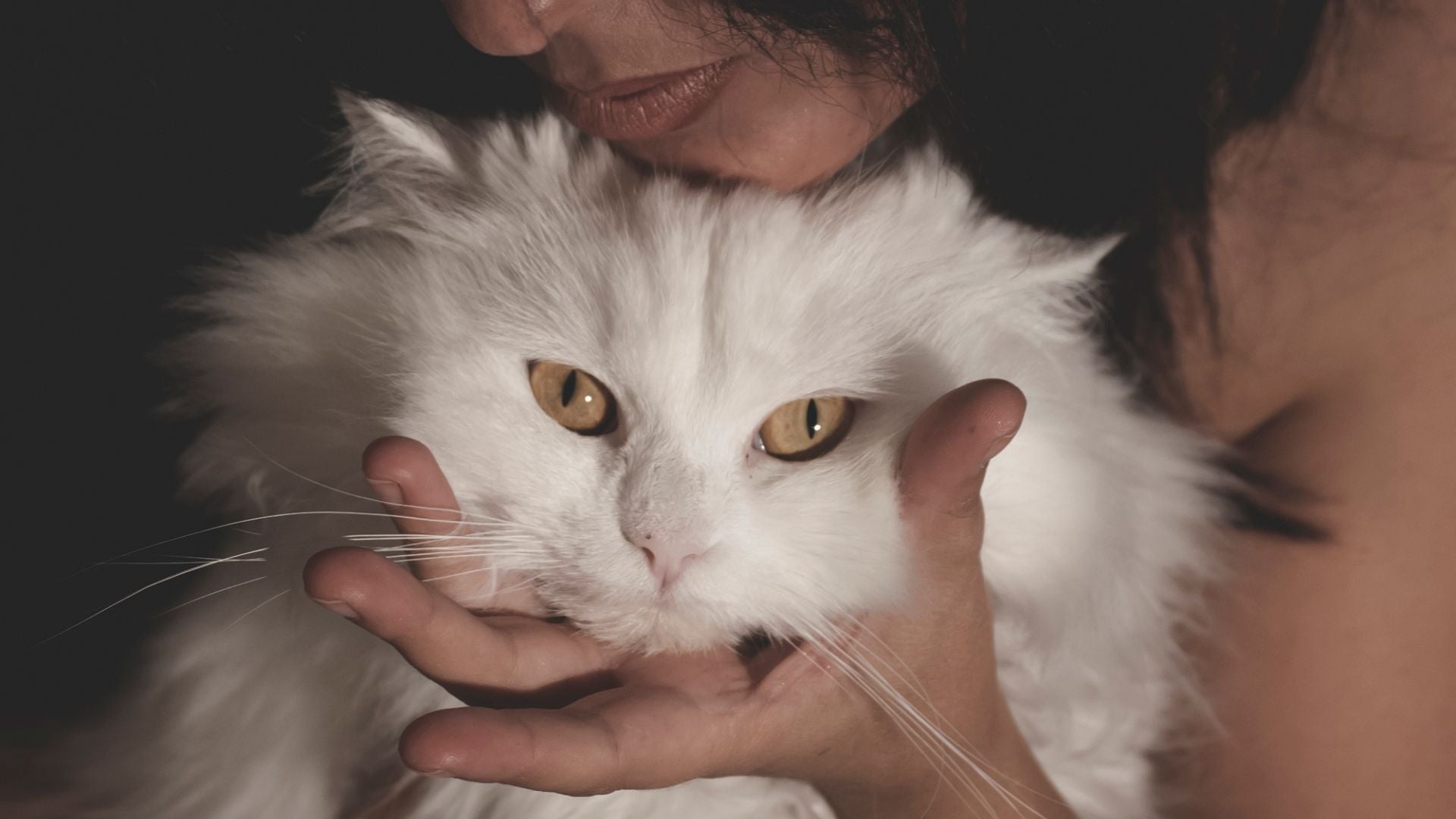 How Animals Show Love: Hormones, Needs, and Surprising Facts