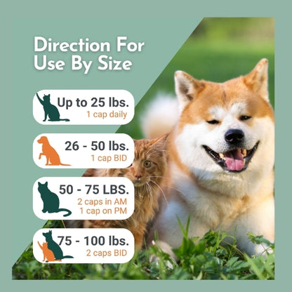 Arthri-Pawz