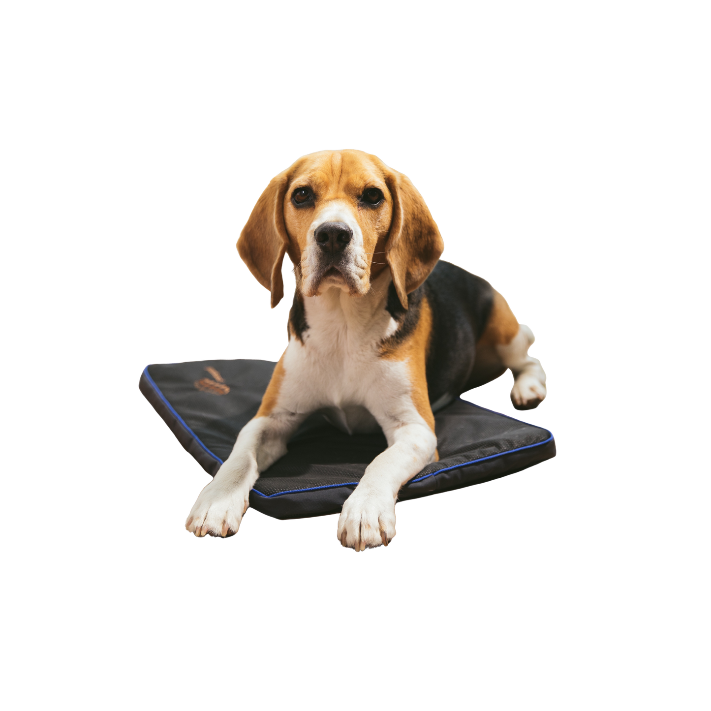 Petspemf Pad