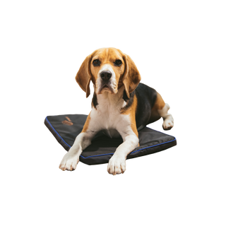 Petspemf Pad