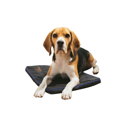 Petspemf Pad
