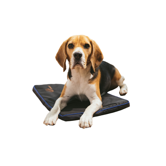 Petspemf Pad