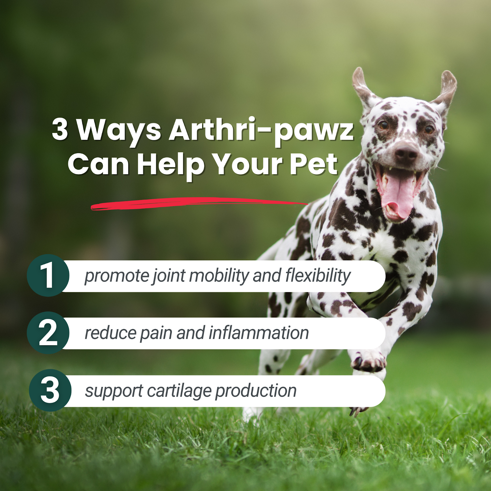 Arthri-Pawz