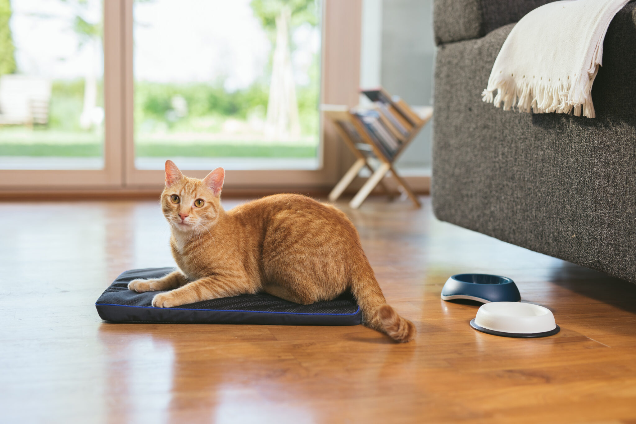 Petspemf Pad for Pets PEMF Therapy Mat / Bed for Dogs