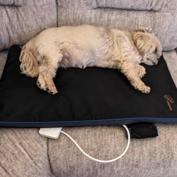 Petspemf Pad for Dogs PEMF Therapy Mat / Bed for Dogs