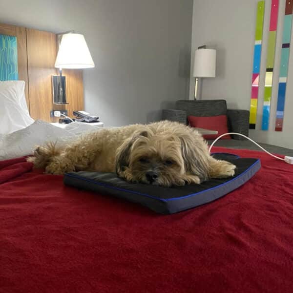Petspemf Pad for Dogs PEMF Therapy Mat / Bed for Dogs