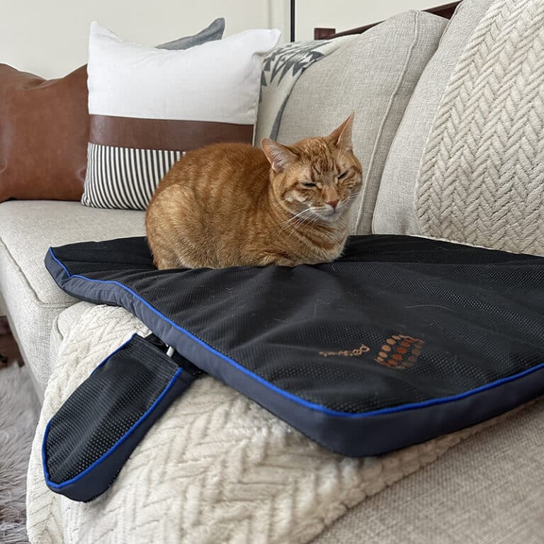 Petspemf Pad for Cats PEMF Therapy Mat for Cats