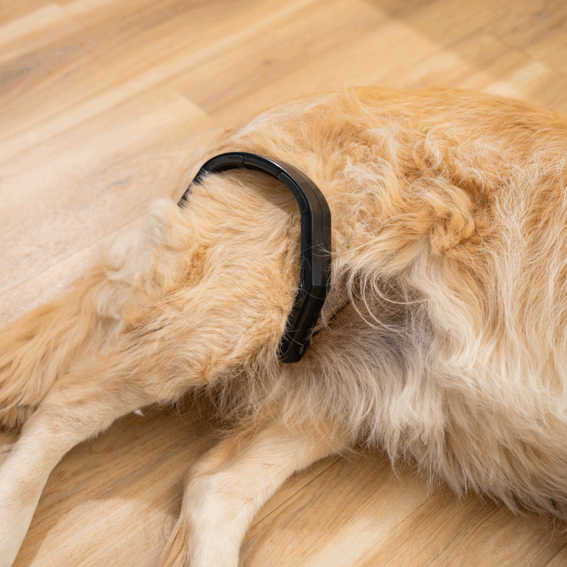 Petspemf Pad for Pets - Petspemf 24