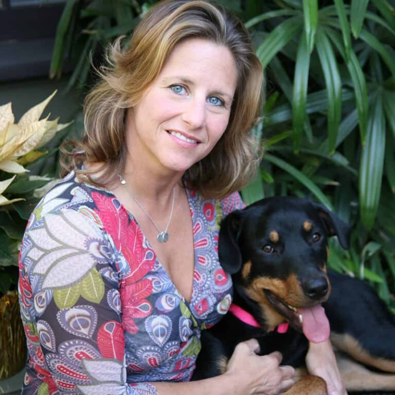 Petspemf Pad for Dogs PEMF Therapy Mat / Bed for Dogs