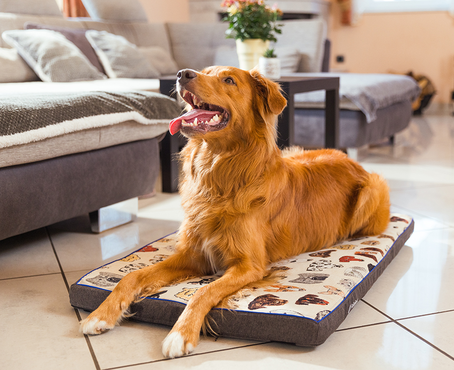 Petspemf RollnRest - Petspemf Rollnrest 3