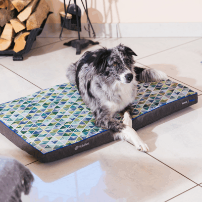 Petspemf RollnRest - Petspemf Rollnrest 31