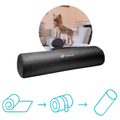 Travel Season Prep: Boarding Soon? Keep Their Stress Low. - Petspemf 2