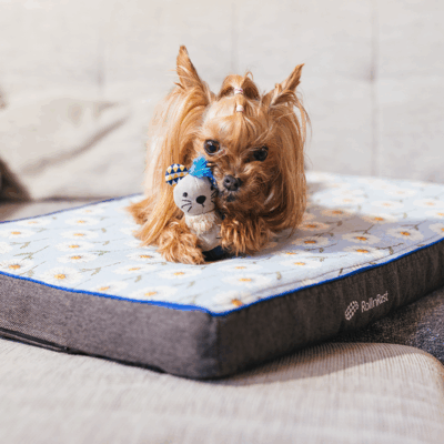 Petspemf RollnRest - Petspemf Rollnrest 32