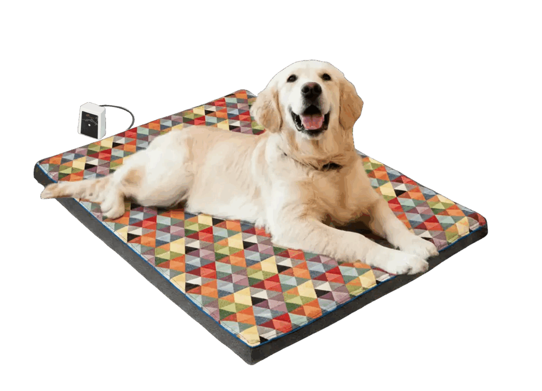 Lit PEMF orthopédique RollnRest | Petspemf