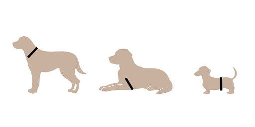 PetLoop PRO - Relief Meets Simplicity - Petspemf 8