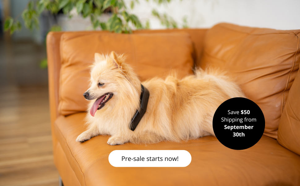 Home - Petspemf pemf for pets 1