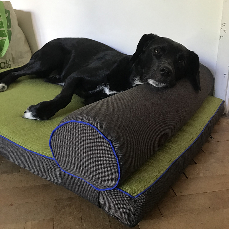 RollnRest Bolster Pillow - Petspemf bolster pillow 7