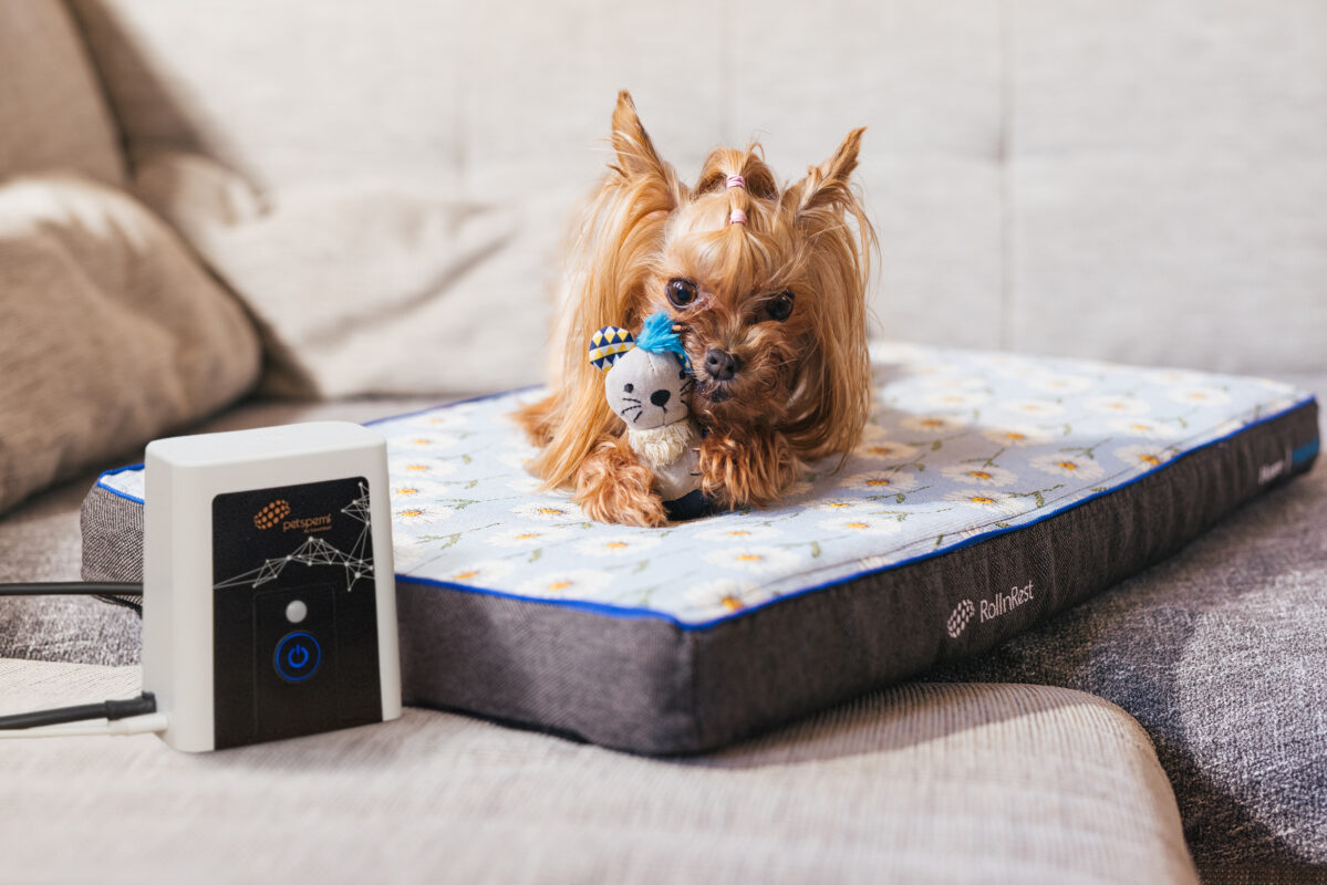 pemf, story, rollnrest