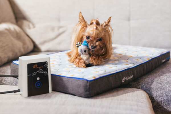 pemf, story, rollnrest