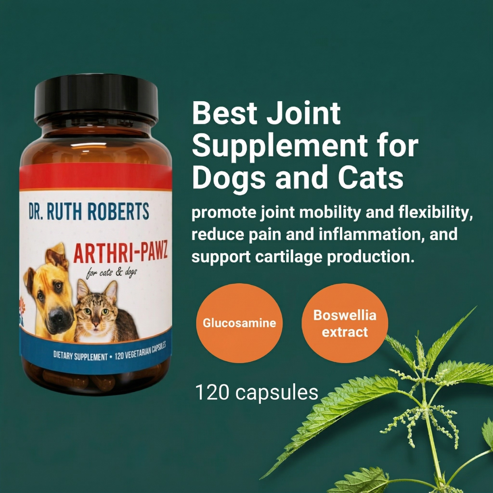 Arthri-Pawz - Petspemf Arthri-Pawz 1