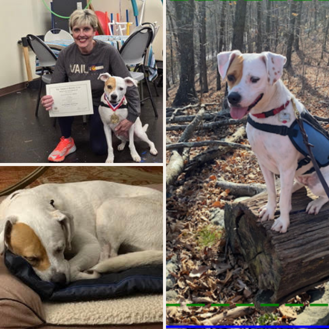 Paula and Joy's Experience with PEMF Therapy
